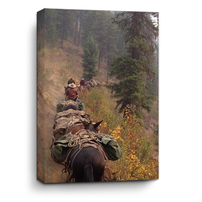 25 Mules- Captivating Mountainside Pack Mule Trek Photo by Garret Osgood