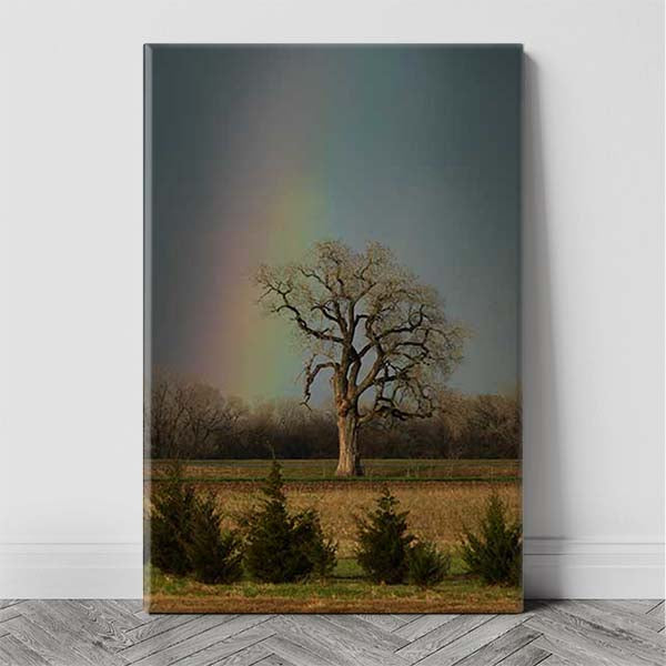K96 Lucky Honking Tree Rainbow After the Storm Photo Canvas Wall Art Print - Wichita and Hutchinson KS Landmark