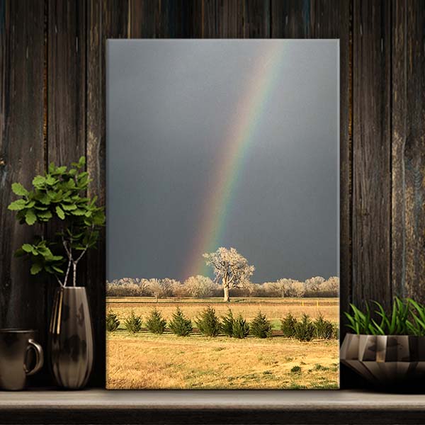 Wichita Kansas cottonwood state tree, lucky honking tree K96 kissing tree between Wichita Maize and Hutchinson Kansas, just outside Colwich. Photo featuring beautiful raingbow after a spring thunderstorm printed on art quality canvas. 