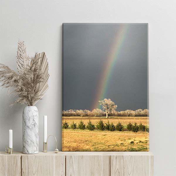 K96 Lucky Honking Tree Rainbow After the Storm Photo Canvas Wall Art Print - Wichita and Hutchinson KS Landmark