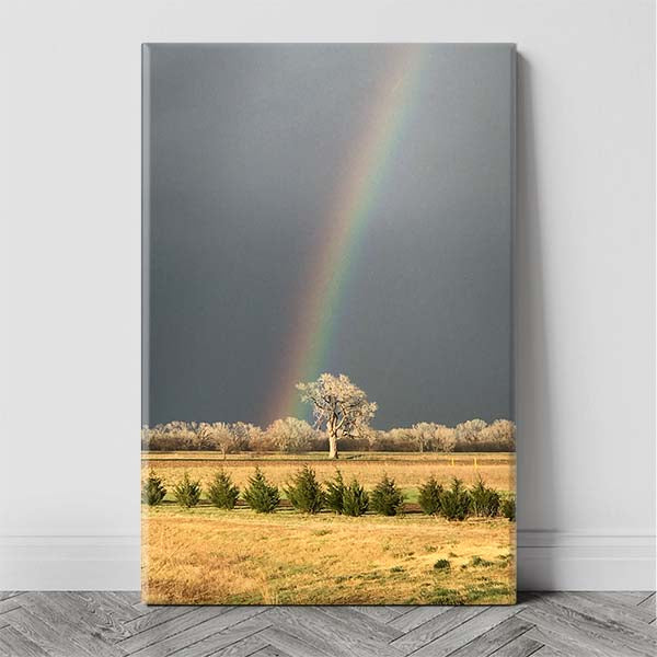 K96 Lucky Honking Tree Rainbow After the Storm Photo Canvas Wall Art Print - Wichita and Hutchinson KS Landmark