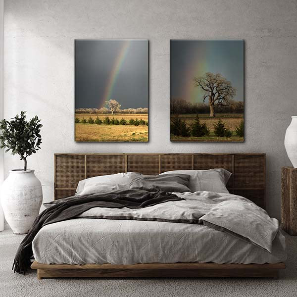 Wichita Kansas cottonwood state tree, lucky honking tree K96 kissing tree between Wichita Maize and Hutchinson Kansas, just outside Colwich. Photo featuring beautiful raingbow after a spring thunderstorm printed on gallery-wrapped canvas wall art. Rainbow home decor. Kansas photography. Kansas photographer Tammy Arnott