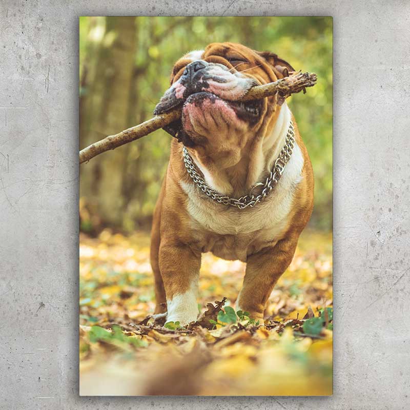 custom canvas photo with your picture portrait or landscape. Upload your picture for personalized wall decor art