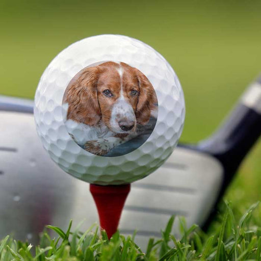 personalized 2-sided double side photo golf ball with pet dog picture